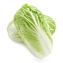 SUPER QUALITY FRESH CHINESE CABBAGE